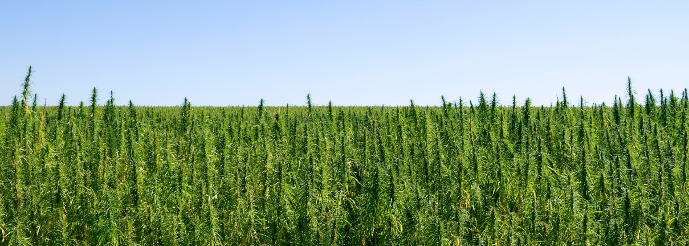 hemp is good for the planet